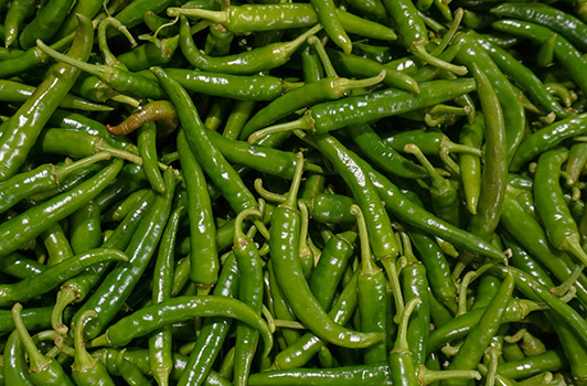 finger hot peppers