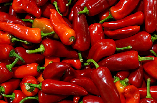 fresno peppers