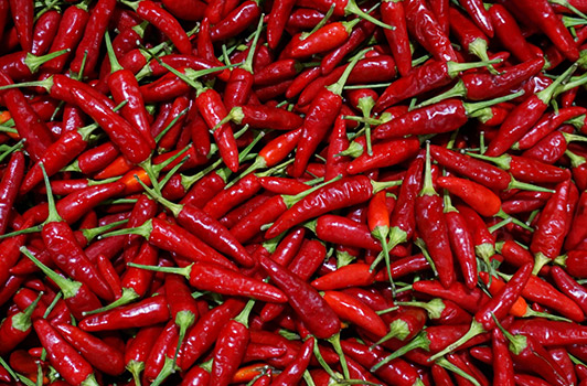 red thai chili peppers