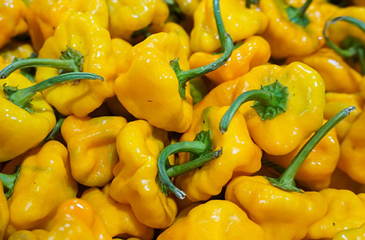 scotch bonnet peppers